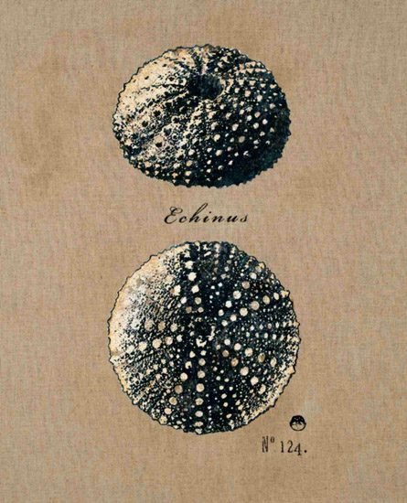 Kompatibel Stilleben til Jahrriesnge untitle-lpf00181 Kompatibel Stilleben Jahrriesnge til untitle-lpf00181