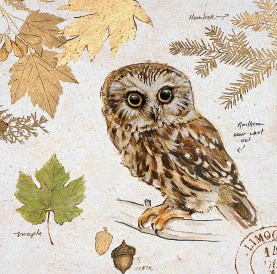 Kompatibel Stilleben til Jahrriesnge owl-lpf00190 Kompatibel Stilleben Jahrriesnge til owl-lpf00190