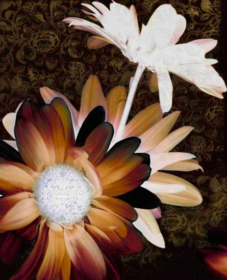 Kompatibel Blomster til JAHRRIESNGE flower-lpf00570 Kompatibel Blomster JAHRRIESNGE til flower-lpf00570