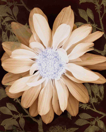 Kompatibel Blomster til Jahrriesnge flower-lpf00571 Kompatibel Blomster Jahrriesnge til flower-lpf00571