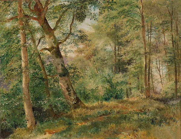 Kompatibel Landskab til JAHRRIESNGE tree-lpf01471 Kompatibel Landskab JAHRRIESNGE til tree-lpf01471