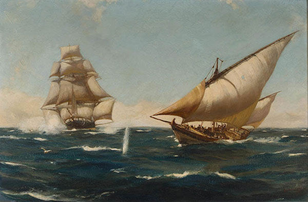 Kompatibel Landskab JAHRRIESNGE  til sea-lpf01924 