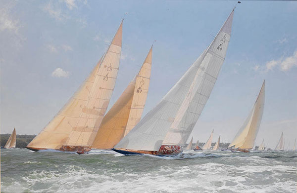 Kompatibel Landskab til JAHRRIESNGE sea-lpf01946 Kompatibel Landskab JAHRRIESNGE til sea-lpf01946