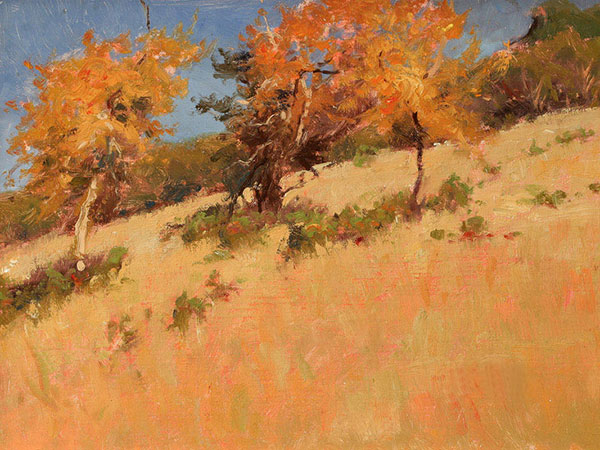 Kompatibel Landskab til Jahrriesnge tree-lpf02032 Kompatibel Landskab Jahrriesnge til tree-lpf02032