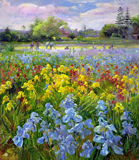 Kompatibel Landskab til JAHRRIESNGE flower-field-lpf02507 Kompatibel Landskab JAHRRIESNGE til flower-field-lpf02507