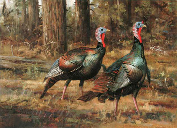 Kompatibel Dyr til Jahrriesnge Turkey-lpf02526 Kompatibel Dyr Jahrriesnge til Turkey-lpf02526