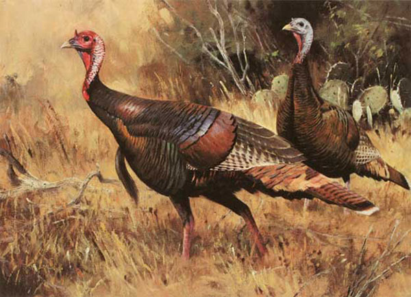 Kompatibel Dyr til Jahrriesnge Spit-chicken-lpf02527 Kompatibel Dyr Jahrriesnge til Spit-chicken-lpf02527