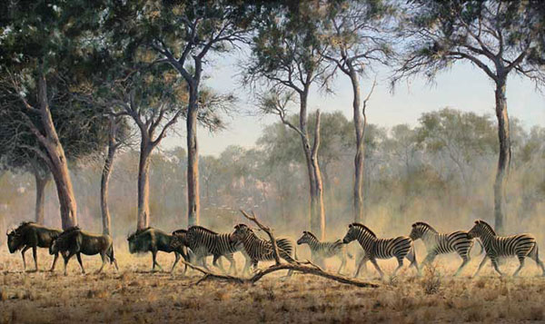 Kompatibel Dyr til Jahrriesnge Plain-zebra-lpf02533 Kompatibel Dyr Jahrriesnge til Plain-zebra-lpf02533