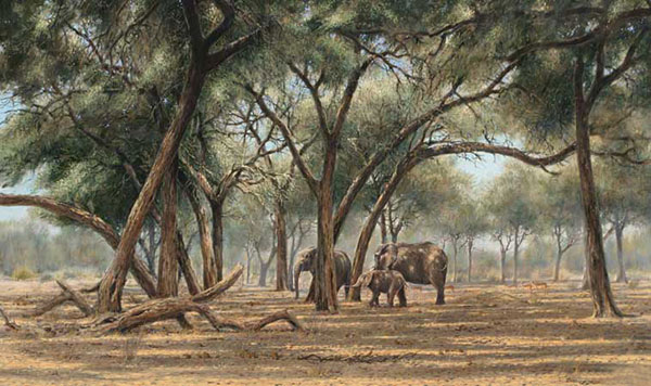 Kompatibel Dyr til Jahrriesnge elephant-lpf02557 Kompatibel Dyr Jahrriesnge til elephant-lpf02557