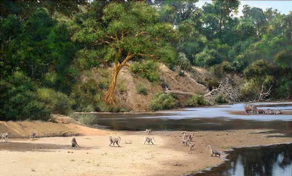 Kompatibel Dyr til Jahrriesnge monkey-lpf02564 Kompatibel Dyr Jahrriesnge til monkey-lpf02564