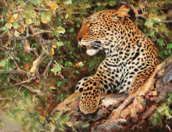 Kompatibel Dyr til Jahrriesnge leopard-lpf02565 Kompatibel Dyr Jahrriesnge til leopard-lpf02565