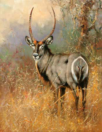 Kompatibel Dyr til Jahrriesnge antelope-lpf02568 Kompatibel Dyr Jahrriesnge til antelope-lpf02568