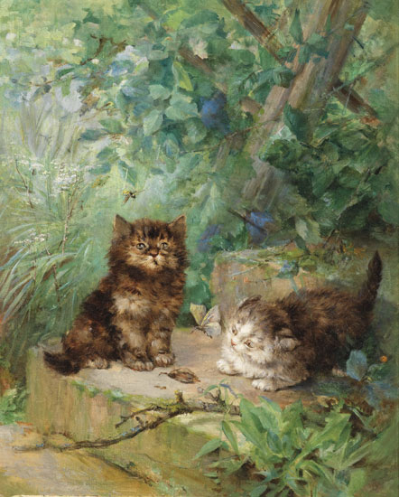 Kompatibel Dyr til Jahrriesnge cat-lpf02649 Kompatibel Dyr Jahrriesnge til cat-lpf02649