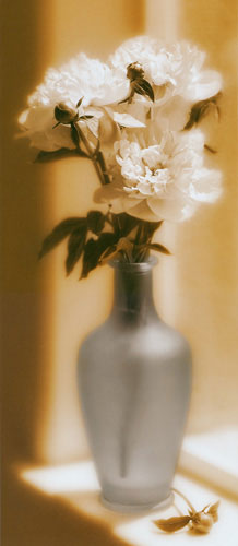 Kompatibel Blomster til JAHRRIESNGE flower lpf04687 Kompatibel Blomster JAHRRIESNGE til flower lpf04687