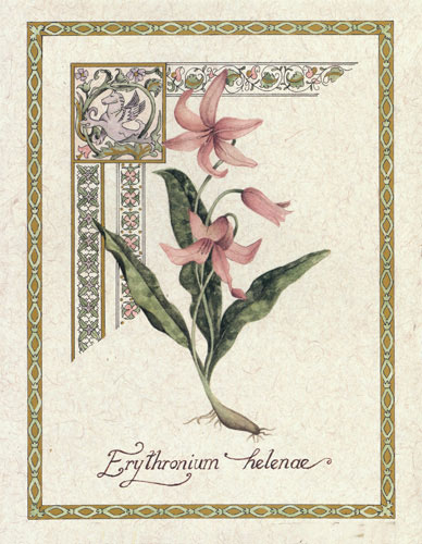 Kompatibel Blomster til Jahrriesnge flower lpf04736 Kompatibel Blomster Jahrriesnge til flower lpf04736