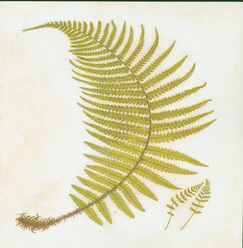 Kompatibel Blomster til JAHRRIESNGE leaf lpf04778 Kompatibel Blomster JAHRRIESNGE til leaf lpf04778