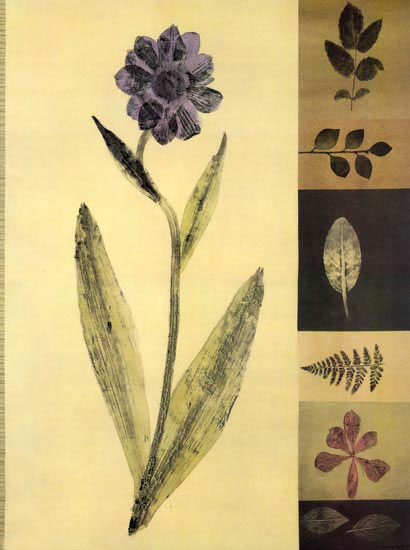 Kompatibel Blomster til Jahrriesnge flowers lpf04831 Kompatibel Blomster Jahrriesnge til flowers lpf04831