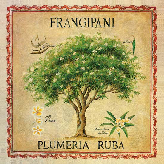 Kompatibel Blomster til Jahrriesnge flowers lpf04957 Kompatibel Blomster Jahrriesnge til flowers lpf04957