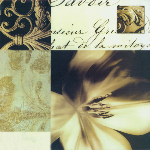 Kompatibel Blomster til JAHRRIESNGE flowers lpf05175 Kompatibel Blomster JAHRRIESNGE til flowers lpf05175