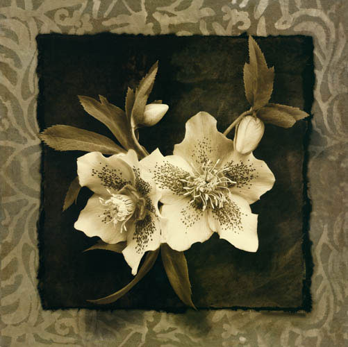 Kompatibel Blomster til JAHRRIESNGE flowers lpf05472 Kompatibel Blomster JAHRRIESNGE til flowers lpf05472