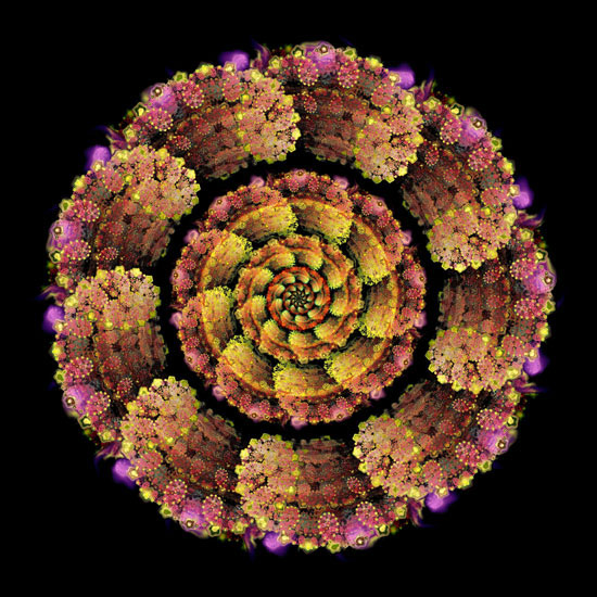 Kompatibel Abstrakt til Jahrriesnge colorful-lpf06334 Kompatibel Abstrakt Jahrriesnge til colorful-lpf06334