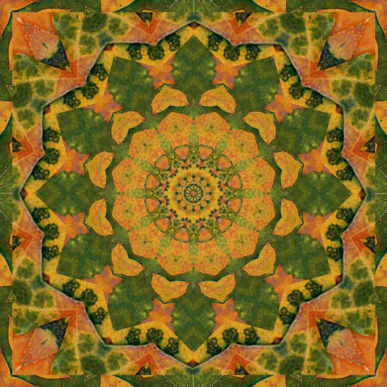 Kompatibel Abstrakt til Jahrriesnge colorful-lpf06363 Kompatibel Abstrakt Jahrriesnge til colorful-lpf06363