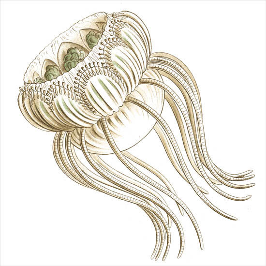 Kompatibel Abstrakt til Jahrriesnge colorful-lpf06398 Kompatibel Abstrakt Jahrriesnge til colorful-lpf06398