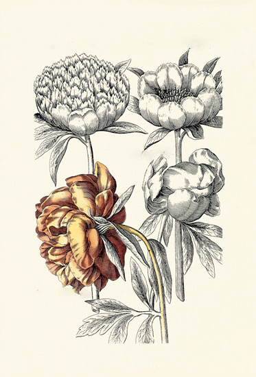 Kompatibel Blomster til JAHRRIESNGE flowers-lpf06622 Kompatibel Blomster JAHRRIESNGE til flowers-lpf06622