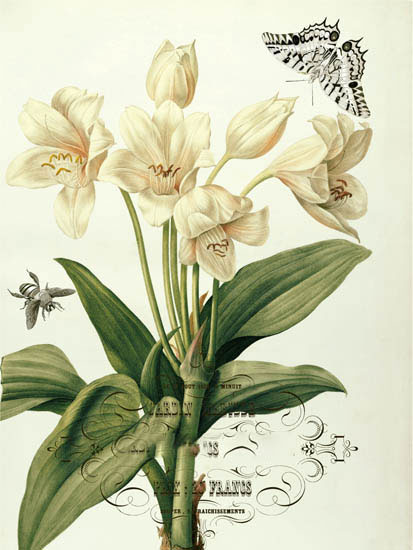 Kompatibel Blomster til Jahrriesnge flowers-lpf06638 Kompatibel Blomster Jahrriesnge til flowers-lpf06638