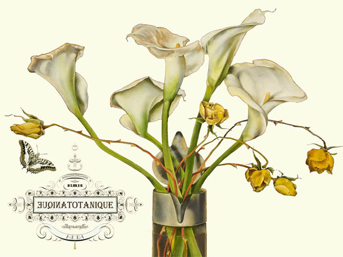 Kompatibel Blomster til JAHRRIESNGE flowers-lpf06640 Kompatibel Blomster JAHRRIESNGE til flowers-lpf06640