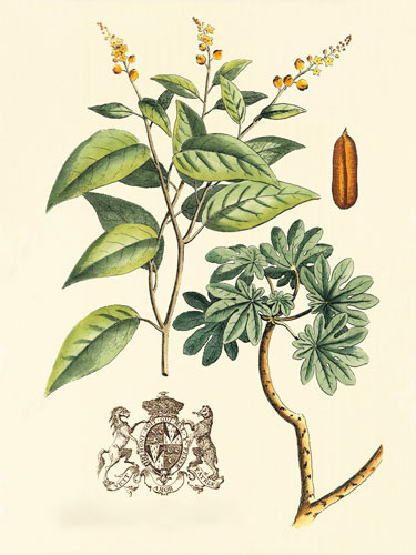 Kompatibel Blomster til JAHRRIESNGE flowers-lpf06641 Kompatibel Blomster JAHRRIESNGE til flowers-lpf06641