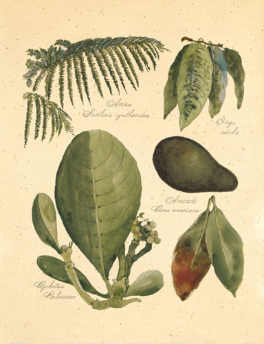 Kompatibel Blomster til JAHRRIESNGE flowers-lpf06747 Kompatibel Blomster JAHRRIESNGE til flowers-lpf06747