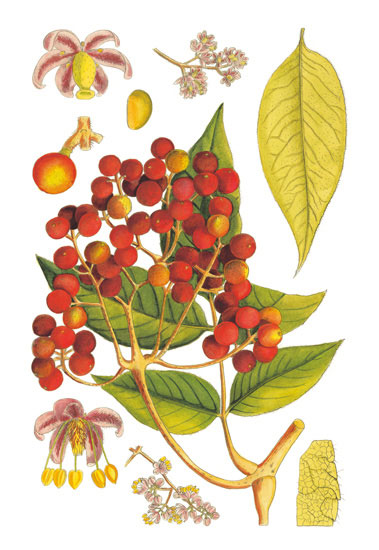 Kompatibel Blomster til Jahrriesnge flowers-lpf06766 Kompatibel Blomster Jahrriesnge til flowers-lpf06766