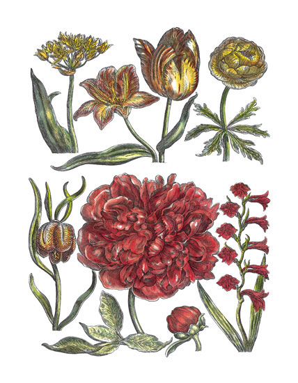 Kompatibel Blomster til JAHRRIESNGE flowers-lpf06779 Kompatibel Blomster JAHRRIESNGE til flowers-lpf06779