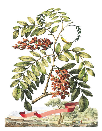 Kompatibel Blomster til JAHRRIESNGE flowers-lpf06791 Kompatibel Blomster JAHRRIESNGE til flowers-lpf06791