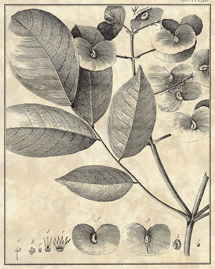 Kompatibel Blomster til JAHRRIESNGE flowers-lpf06794 Kompatibel Blomster JAHRRIESNGE til flowers-lpf06794