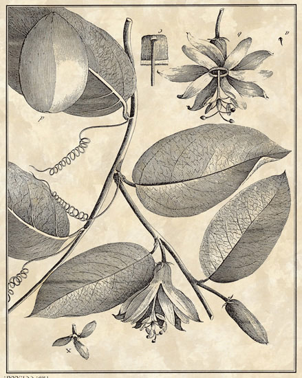 Kompatibel Blomster til JAHRRIESNGE flowers-lpf06795 Kompatibel Blomster JAHRRIESNGE til flowers-lpf06795