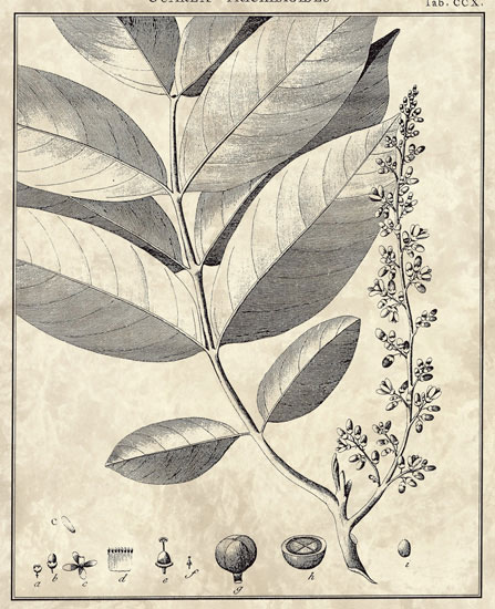 Kompatibel Blomster til JAHRRIESNGE flowers-lpf06798 Kompatibel Blomster JAHRRIESNGE til flowers-lpf06798