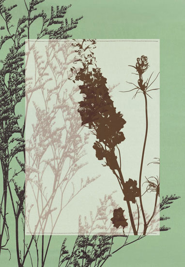 Kompatibel Blomster til JAHRRIESNGE flowers-lpf06812 Kompatibel Blomster JAHRRIESNGE til flowers-lpf06812