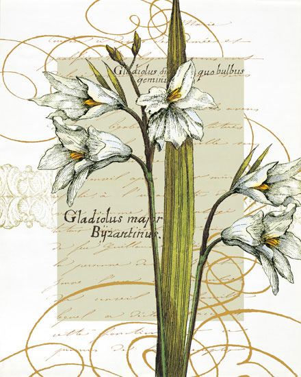 Kompatibel Blomster til JAHRRIESNGE flowers-lpf06821 Kompatibel Blomster JAHRRIESNGE til flowers-lpf06821