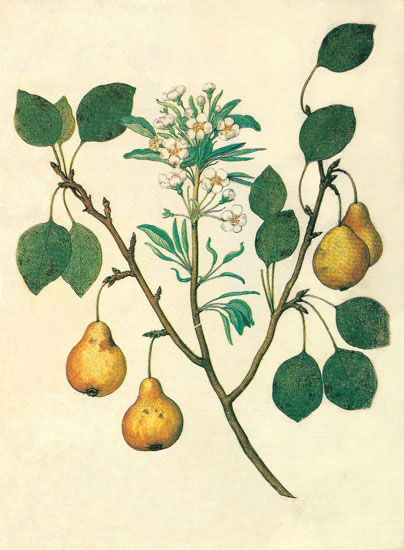 Kompatibel Blomster til JAHRRIESNGE flowers-lpf06847 Kompatibel Blomster JAHRRIESNGE til flowers-lpf06847