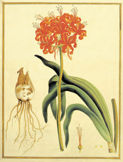 Kompatibel Blomster til JAHRRIESNGE flowers-lpf06864 Kompatibel Blomster JAHRRIESNGE til flowers-lpf06864