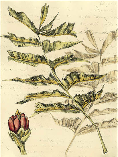 Kompatibel Blomster til JAHRRIESNGE flowers-lpf06910 Kompatibel Blomster JAHRRIESNGE til flowers-lpf06910