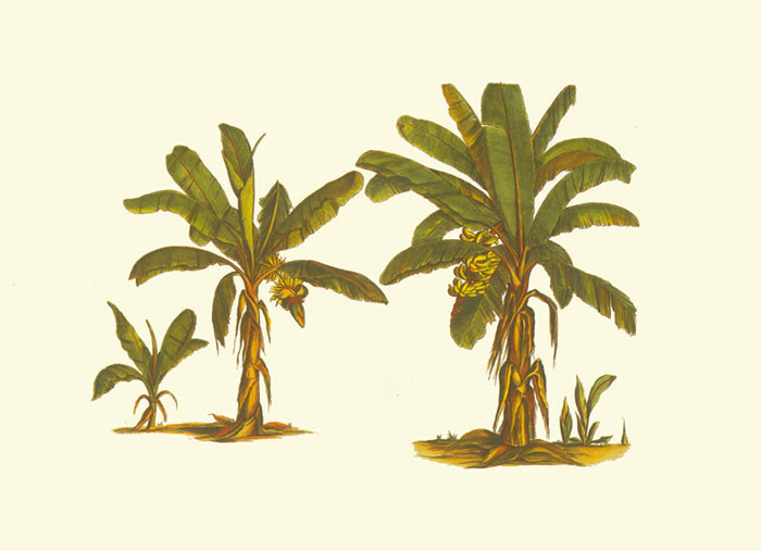 Kompatibel Blomster til Jahrriesnge flowers-lpf06928 Kompatibel Blomster Jahrriesnge til flowers-lpf06928