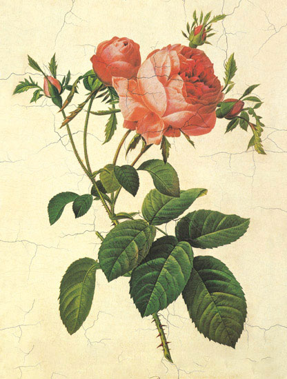 Kompatibel Blomster til JAHRRIESNGE flowers-lpf06951 Kompatibel Blomster JAHRRIESNGE til flowers-lpf06951