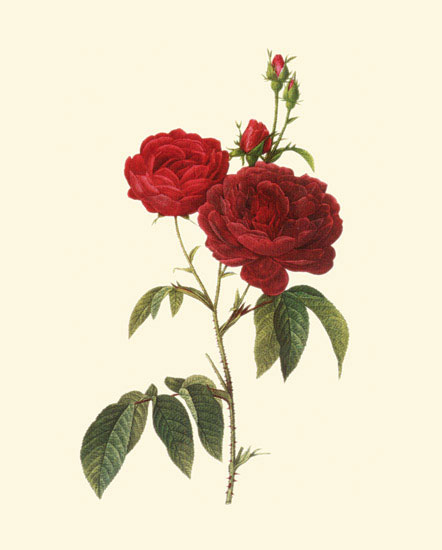 Kompatibel Blomster til JAHRRIESNGE flowers-lpf06957 Kompatibel Blomster JAHRRIESNGE til flowers-lpf06957