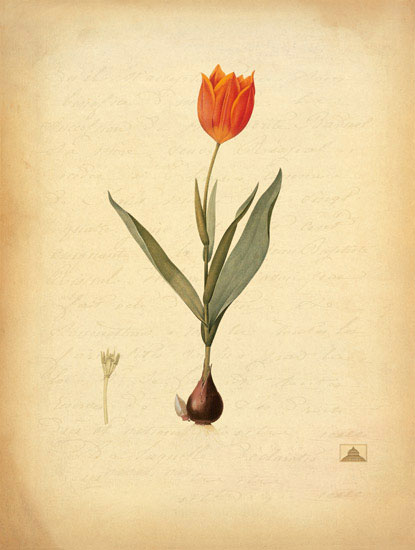 Kompatibel Blomster til JAHRRIESNGE flowers-lpf06965 Kompatibel Blomster JAHRRIESNGE til flowers-lpf06965