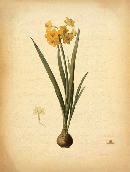 Kompatibel Blomster til Jahrriesnge flowers-lpf06967 Kompatibel Blomster Jahrriesnge til flowers-lpf06967