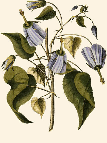 Kompatibel Blomster til JAHRRIESNGE flowers-lpf06995 Kompatibel Blomster JAHRRIESNGE til flowers-lpf06995