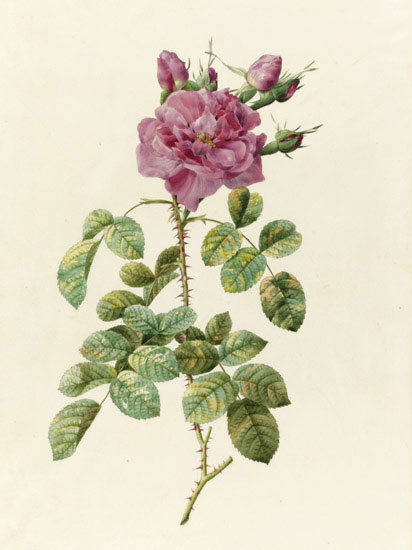 Kompatibel Blomster til JAHRRIESNGE flowers-lpf07022 Kompatibel Blomster JAHRRIESNGE til flowers-lpf07022